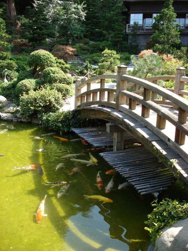 grand étang pont jardin japonais