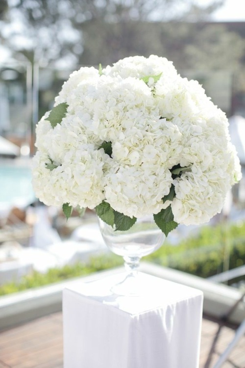 grand vase fleurs blanches bouquet boule