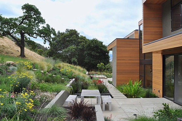 grande maison contemporaine végétation aménagement
