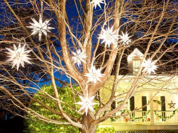 guirlandes-lumineuses-Noël-étoiles-papier-blanches-LED-jardin guirlandes lumineuses de Noël