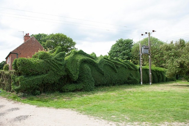 haie taillee dragon angleterre sculpture vert