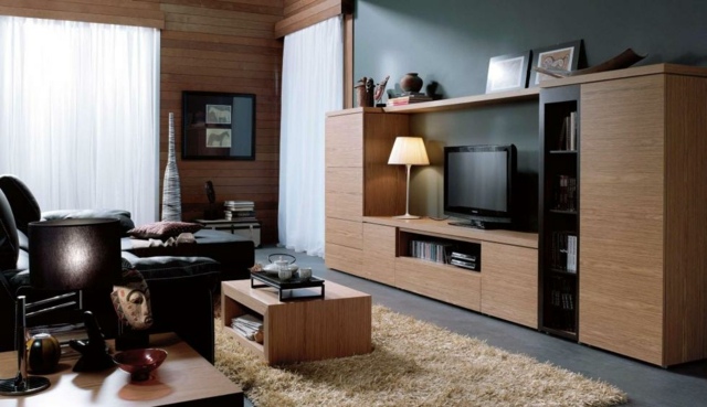 idee deco salon meuble tv