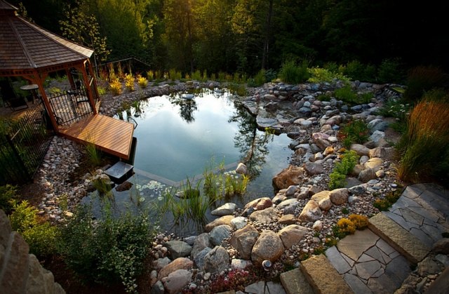 idee jardin piscine naturelle deco pierres