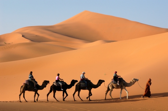 idee moyens transport tour monde chameau