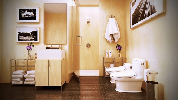 idees decoration salle de bains contemporaine bois