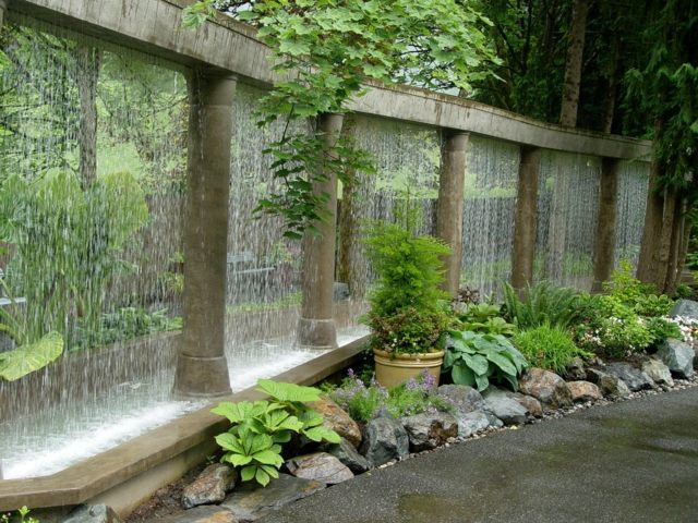 jardin aquatique original design