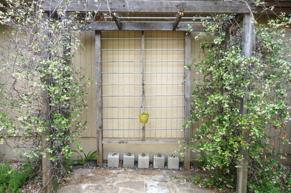 jardin bricolage jasmin vigne bois pergola barre metal