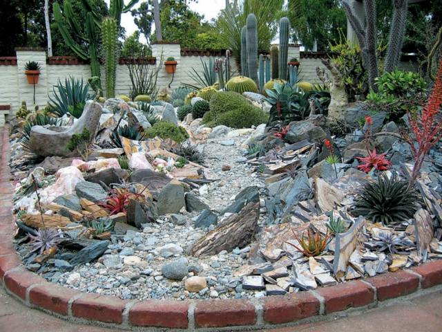 jardin cactus deco idee