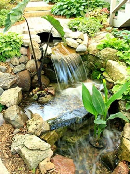 jardin cascade eau ruisseau chute plante