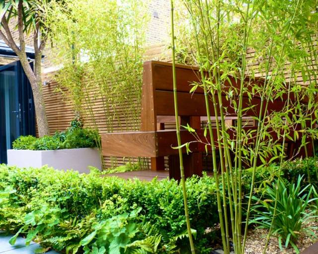 jardin contemporain bambous