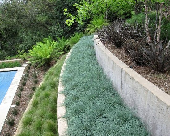 jardin contemporain vegetation terrasse
