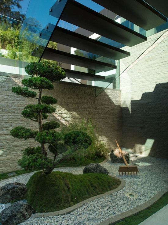 jardin deco bonsaï moderne