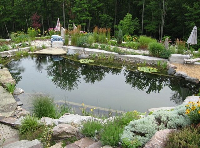 jardin deco piscine apparence naturelle