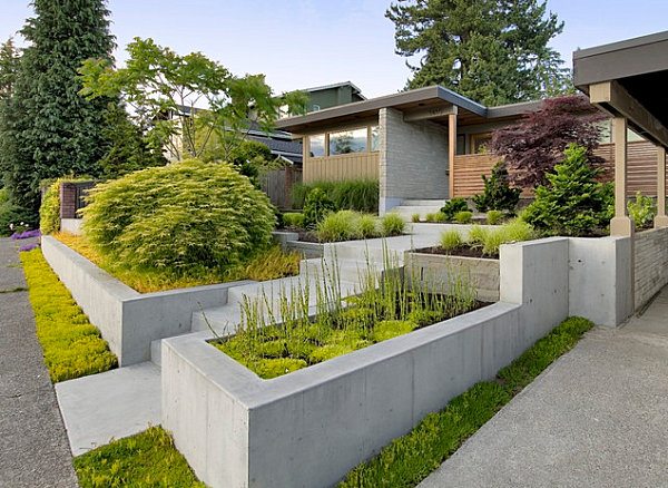 jardin design moderne béton végétation