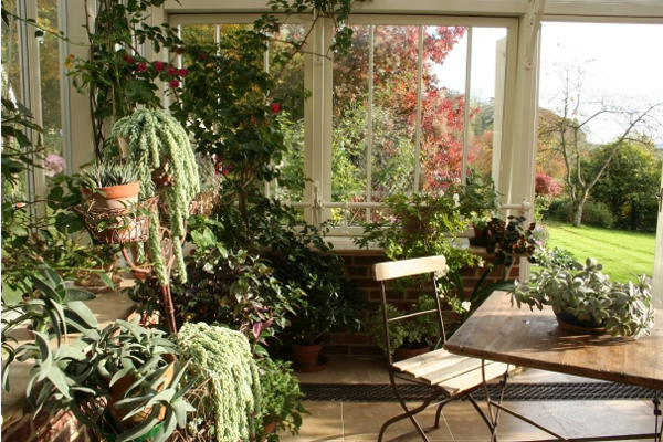 jardin d'hiver maison plantes