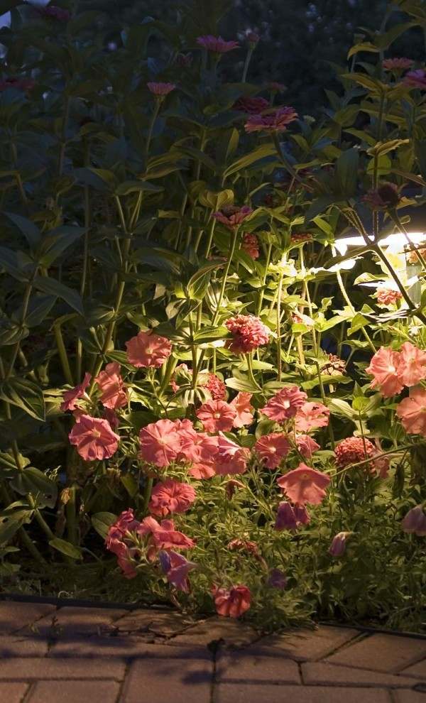 jardin fleurs eclairage lampes