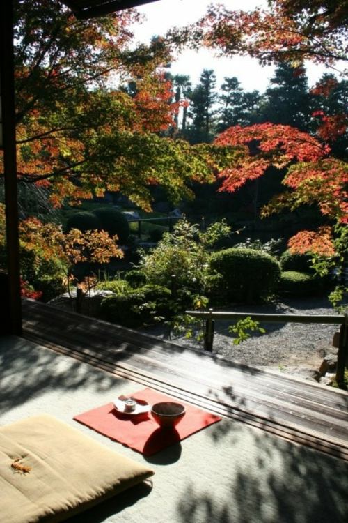 jardin japonais ceremonie the verdure automne
