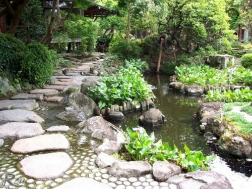 jardin japonais sentier etang pierre arbre
