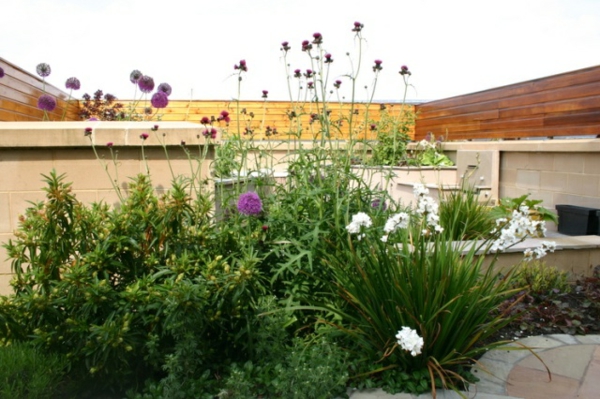 jardin sur le toit