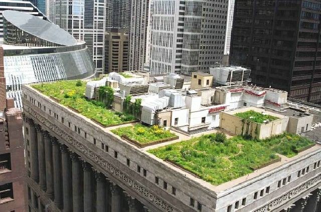 jardin sur toit moderne