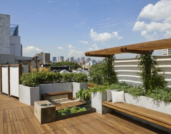jardin sur toit urbain