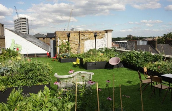 jardin toit pelouse Londres