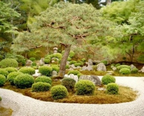 jardin zen japon arbre bois ilot