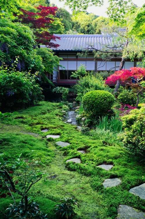 jardin zen japon sentier pierre mousse