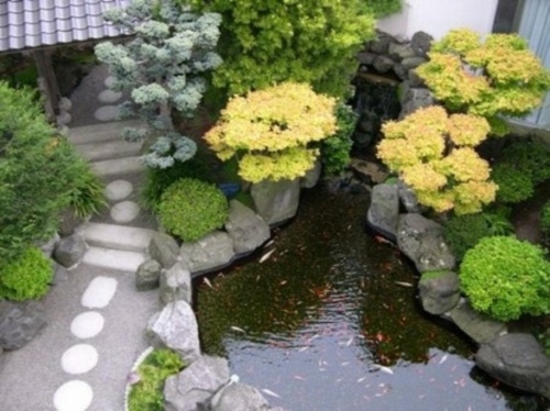 jardin zen japon sentier poisson rouge