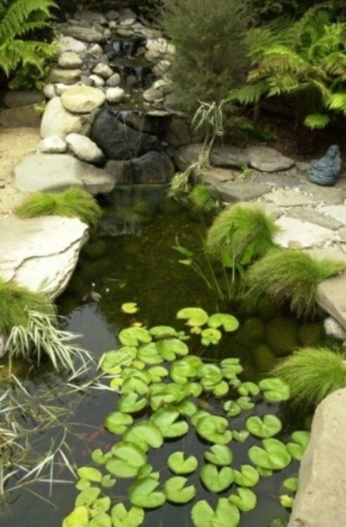 jardin zen nenuphar ruisseau cascade eau