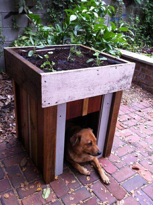 jardiner-sur-toit-niche-pour-chien