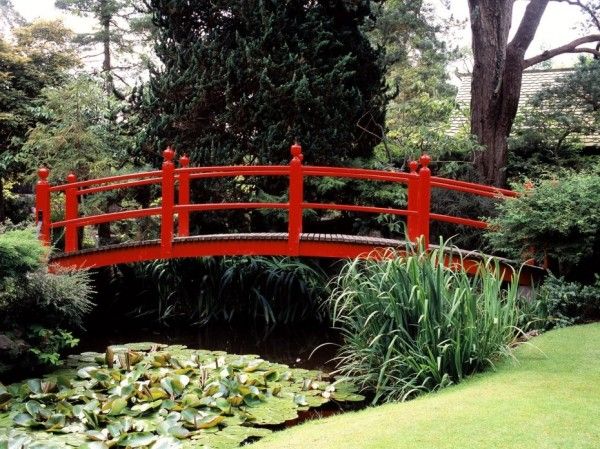 jardins japonais étang koï pont rouge