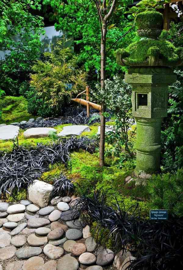 joli jardin japonais plantes pierre