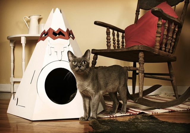 maison design chats tipi