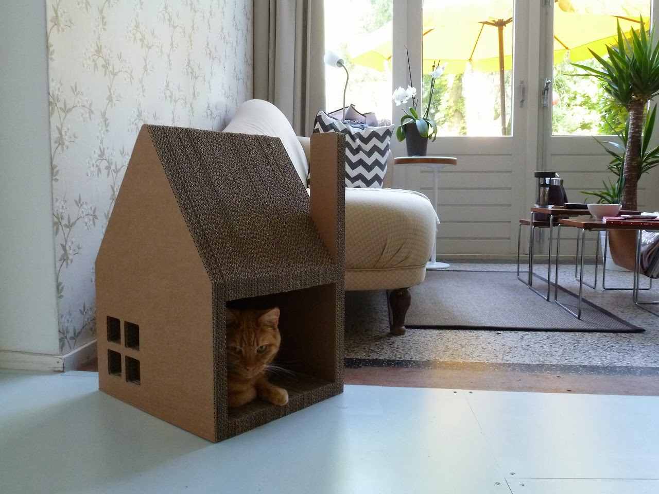 maison-pour-chat-interieur