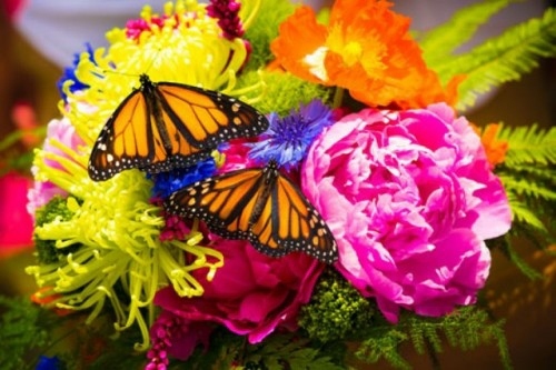 mariage montagne deco fleurs belles papillons
