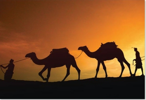 marrakech maroc chamois desert coucher soleil voyager