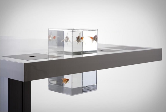 meuble-design-milk-desk-aquarium-bureau-table