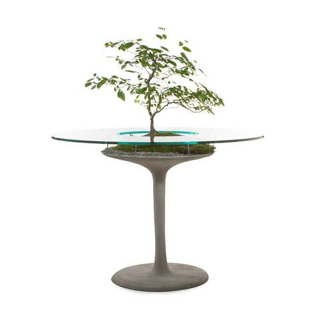 meuble en béton incontournable La table Eero plante milieu 