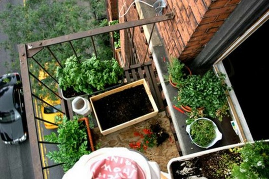 micro jardin balcon minuscule petit mais pratique