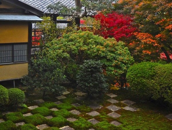 mousse jardin japonais maison arbres