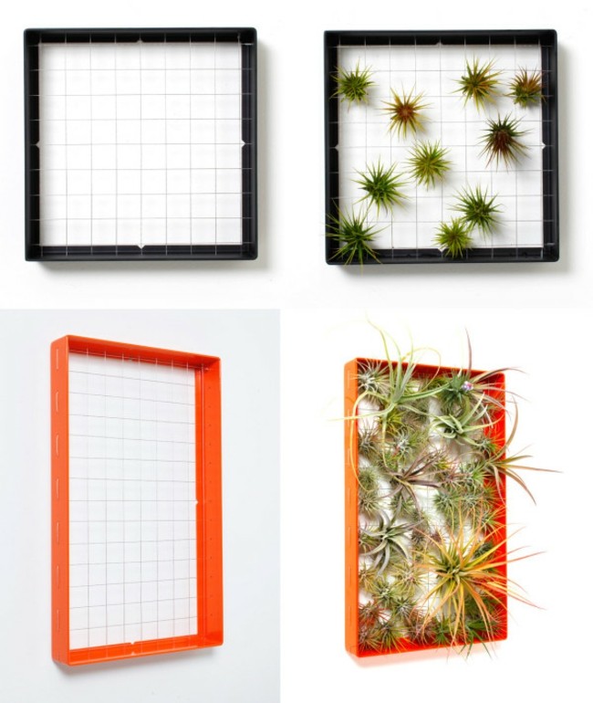 Idée de design pas cher mur végétalisé vivant décor design brico jardin vertical