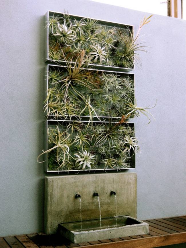 Idée de design pas cher mur végétalisé vivant décor exterieur brico jardin vertical