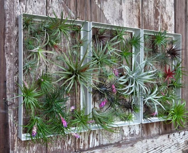 Idée de design pas cher mur végétalisé vivant décor mural jardin vertical 