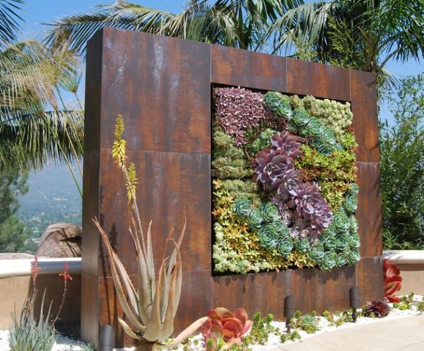 mur végétalisé succulents extérieur