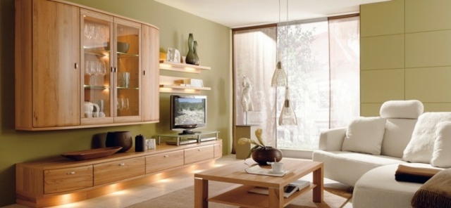 murs vert clair salon contemporain bois