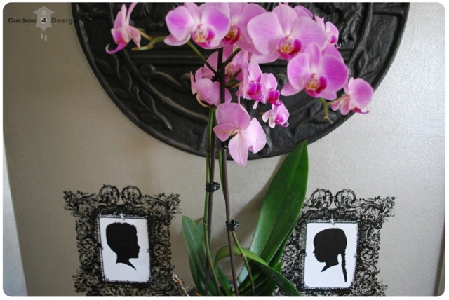 orchidee violette decoration salon