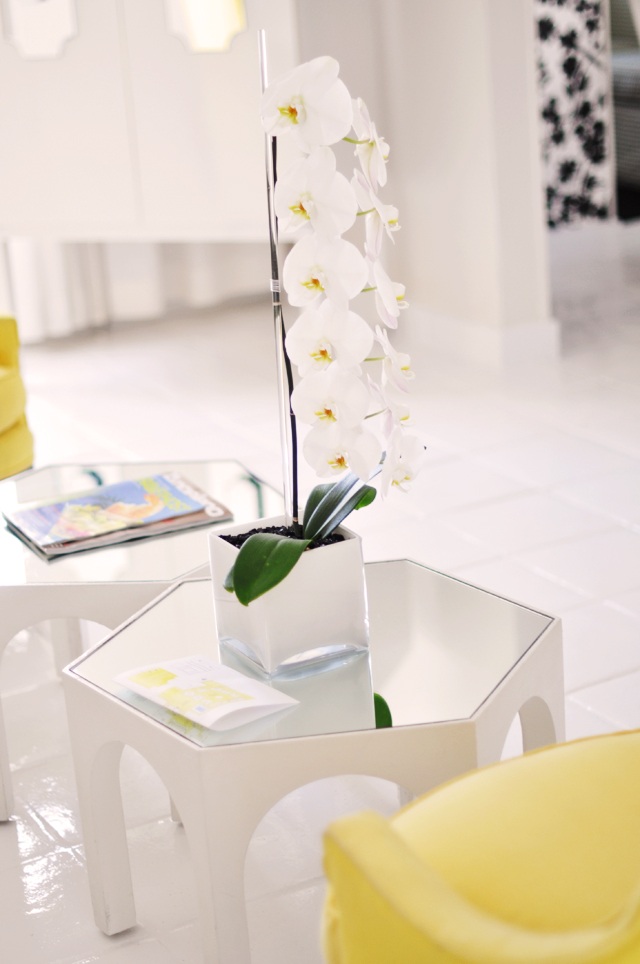 orchidee blanche centre jaune decoration