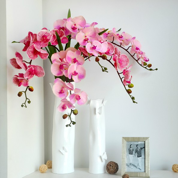 orchidee plante decoration excellence