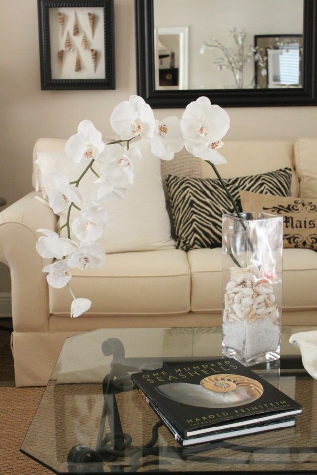 orchidee vase verre coquillages decoration eblouissante